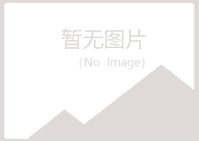 白银平川静曼培训有限公司